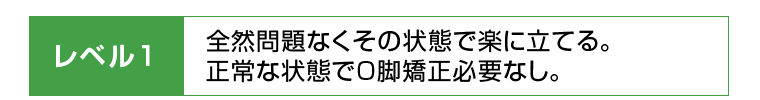 レベル1