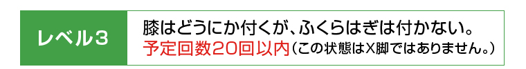 レベル3