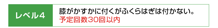 レベル4