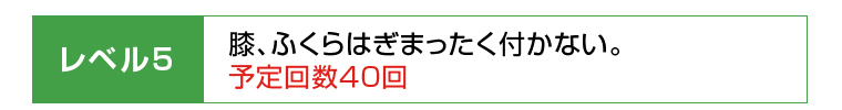 レベル5