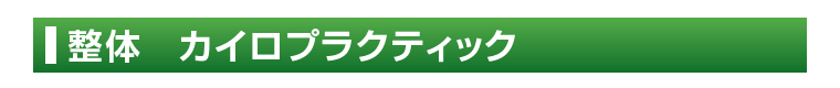 整体 カイロプラクティック