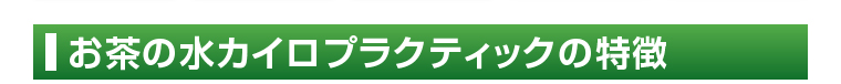 お茶の水カイロプラクティックの特徴